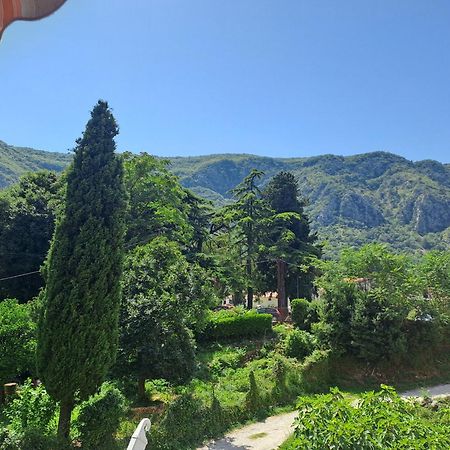 N&B Apartment Kotor Dış mekan fotoğraf